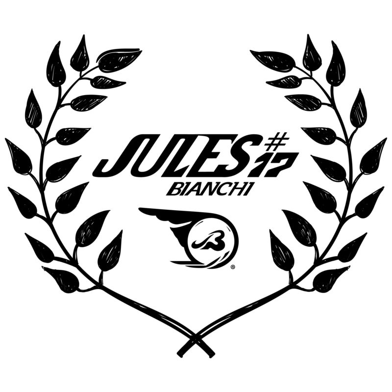 Donation to the Jules Bianchi #17 association